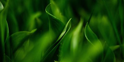 a_home_bg1 a_home_bg1