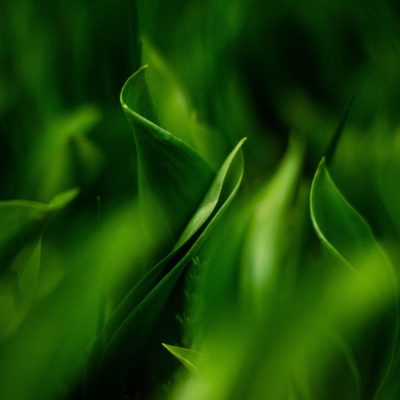 a_home_bg1 a_home_bg1